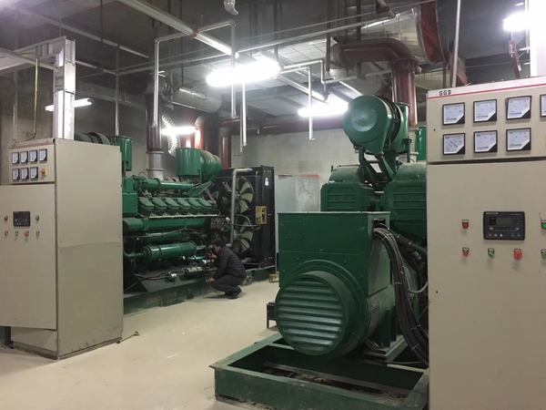 国产里卡多（LICARDO)智能环保开架机组系列